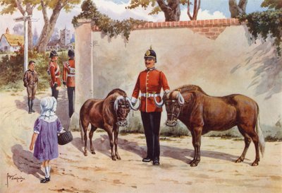 Wildebeesten (of Witstaart Gnoe), Huisdieren van de South Wales Borderers door after Edgar Alfred Holloway