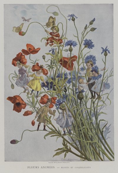 Geanimeerde Bloemen: korenbloemen en klaprozen door after Firmin Bouisset