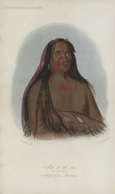 Mah-to-toh-pa, De Vier Beren, 2e Hoofdman van de Mandans (aquatint) door after George Catlin