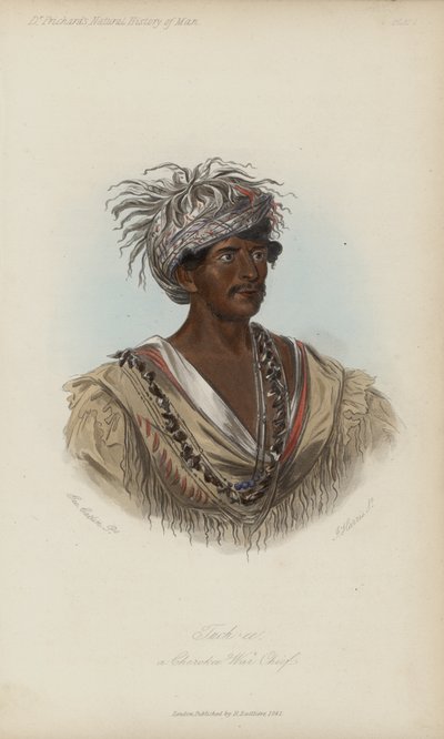 Tuch-ee, een Cherokee Oorlogshoofd (aquatint) door after George Catlin