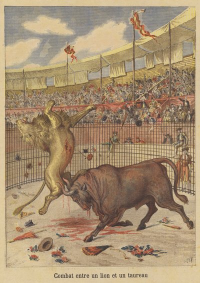 Gevecht tussen een leeuw en een stier door after Henri Meyer