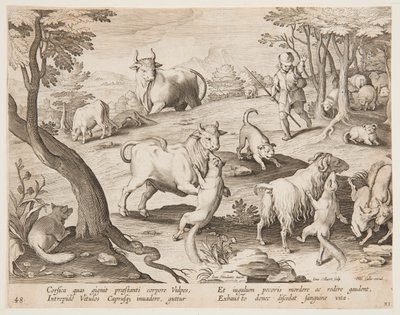 Stieren en geiten aangevallen door vossen door after Jan van der Straet, called Stradanus