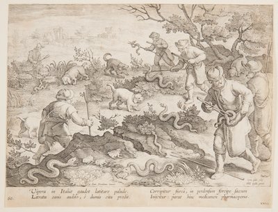 Slangen Jagen door after Jan van der Straet, called Stradanus