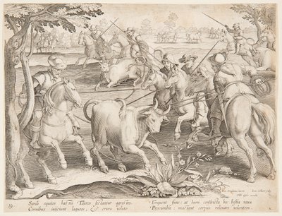 Vangen van wilde stieren door after Jan van der Straet, called Stradanus