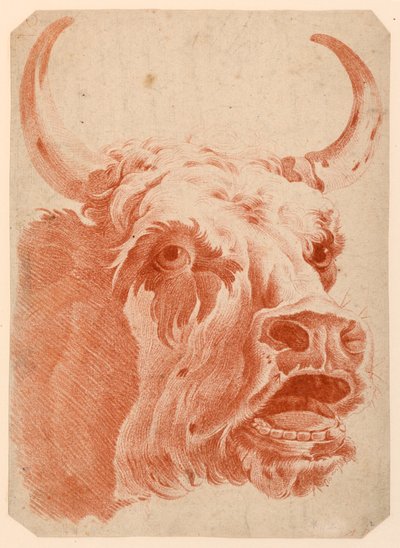 Hoofd van een koe door after Jean Baptiste Huet