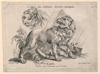 Studies van Leeuwen, Plaat 4 uit "Cahier des Desseins Diverses Animeaux" door after Jean Baptiste Huet
