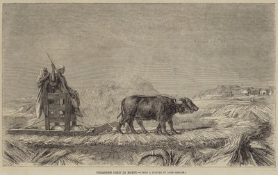 Koren Stampen in Egypte door after Jean Leon Gerome