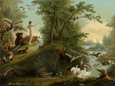 Adam in het Paradijs door Johann Elias Ridinger or Riedinger
