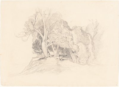 Landschap met Bomen door after John Sell Cotman British 19th Century