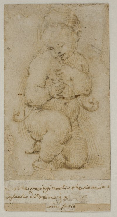 De jonge Johannes de Doper door after Raphael