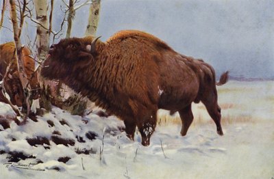 Europese Bizon door after Wilhelm Kuhnert