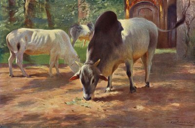 Indische Hump Runderen door after Wilhelm Kuhnert