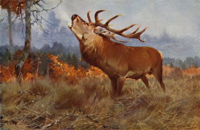 Edelhert door after Wilhelm Kuhnert