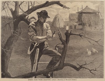 Lente Boerderijwerk - Enten door after Winslow Homer