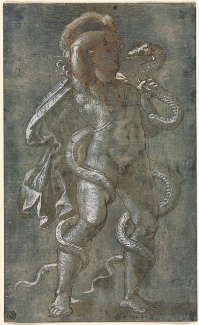 Man verstrengeld door twee slangen door attributed to Giovanni Antonio da Pordenone
