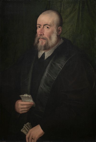 Portret van een Oude Man door attributed to Giulio Campi