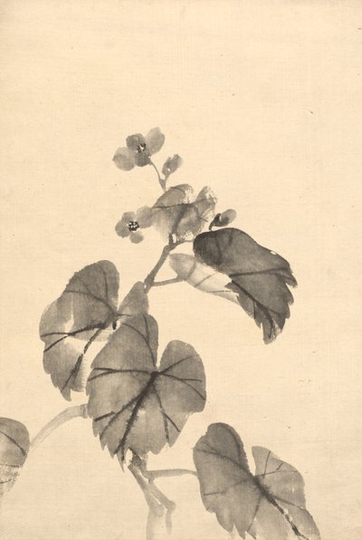 Tak van Bloeiende Begonia door attributed to Kono Bairei