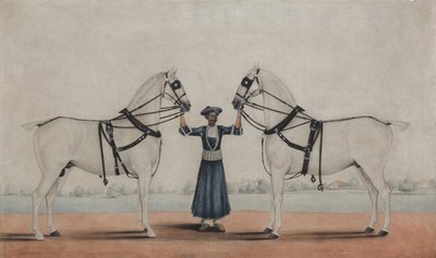Een Syce Groom die Twee Koetspaarden Vasthoudt, ca. 1845 door attributed to Shaikh Muhammad Amir of