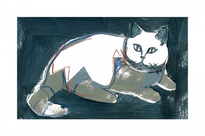 Kunstzinnige witte kat door cartissi
