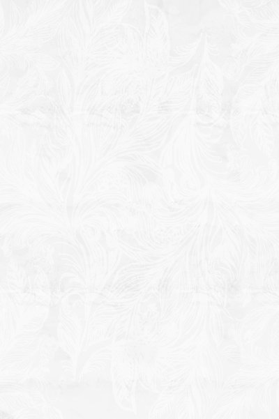 Verfijnde vorstpatronen door cartissi