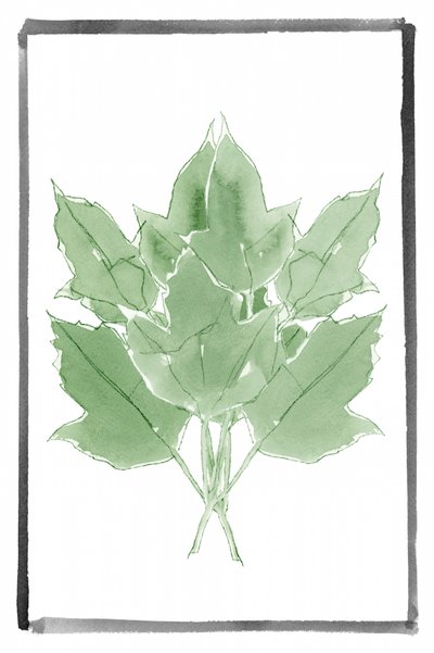 Verse groene bladeren door cartissi