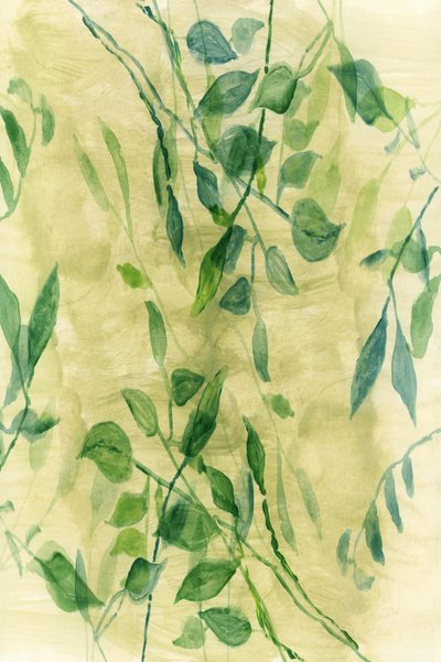 Zachte botanische flow door cartissi