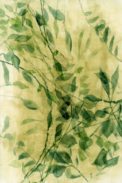 Groene bladeren in aquarel door cartissi