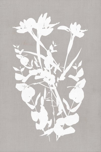 Moderne botanische silhouetten door cartissi