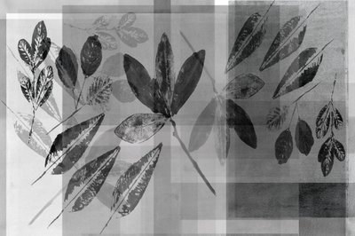 Monochrome botanische lagen door cartissi