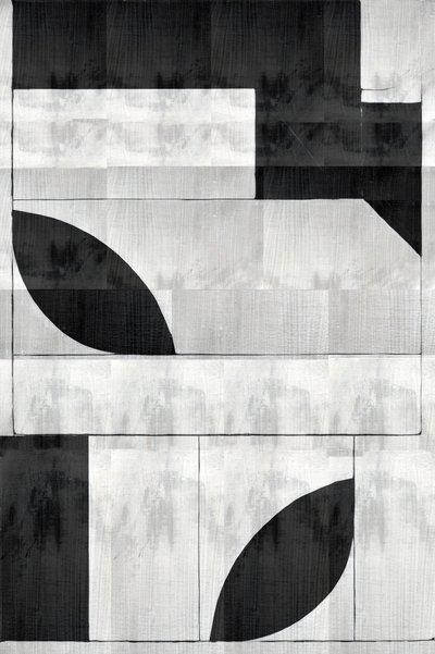 Monochrome organische vormen door cartissi