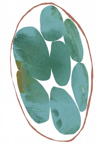 Biologische blauwgroene edelstenen door cartissi
