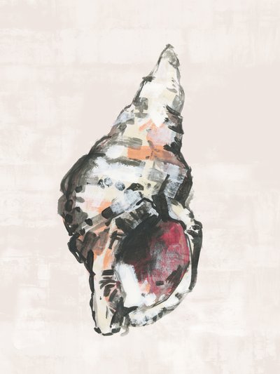 Beschilderde schelp van de kust door cartissi