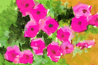 Roze bloemen in de tuin door cartissi