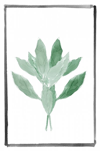 Zachtgroen botanisch door cartissi
