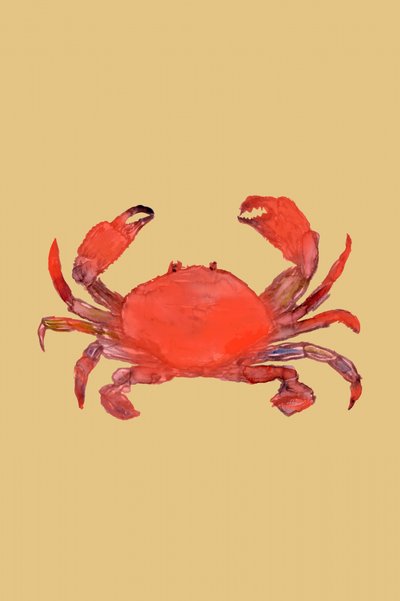 Levendig rode krab door cartissi
