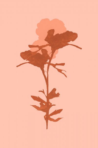 Warme botanische bloei door cartissi