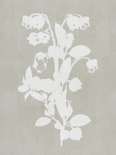 Witte botanische bloemen door cartissi