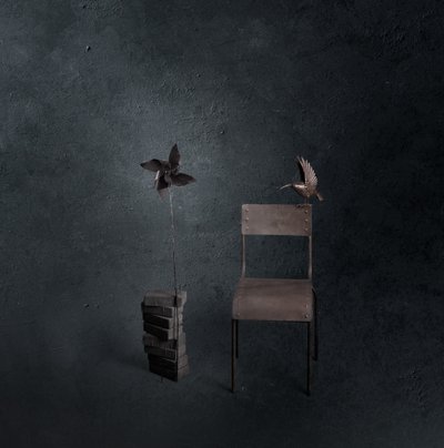 Donkere vogel, lege stoel door chenyi wang