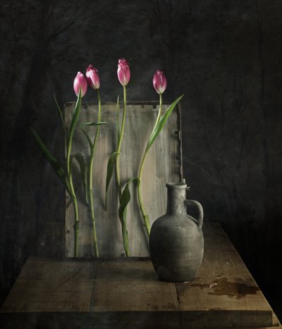  door chenyi wang