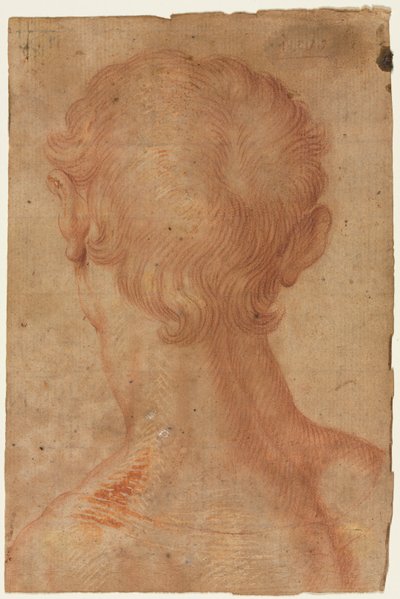 Hoofd van een man van achteren door copy after Agnolo Bronzino