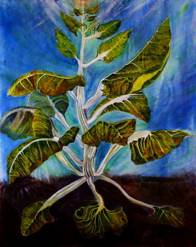 Bolted Chard, 2016 door jocasta shakespeare