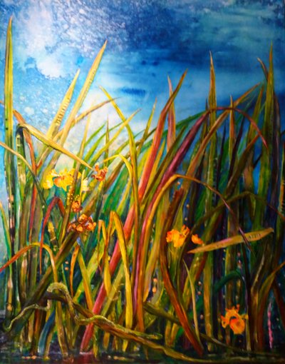 Wilde iris waterslang, 2017 door jocasta shakespeare
