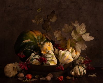 Donkere herfstpompoenen door magnola