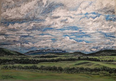 De Grote Savanne Venezuela door miguelmendez_art.ve