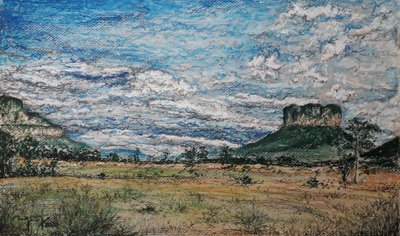 De Grote Savanne Venezuela door miguelmendez_art.ve