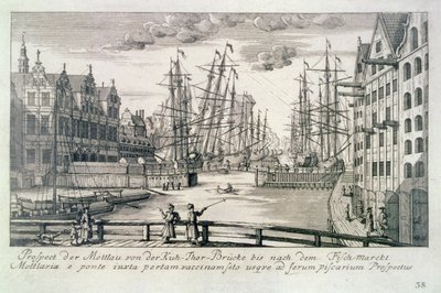 Uitzicht op de Moltawa vanaf een Krow-brug, uit 