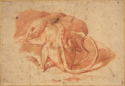 Een Gedeeltelijk Gevild Rat door possibly Florentine or Roman Italian 16th