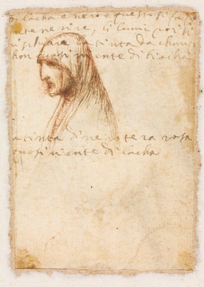 Buste-lengte profiel van een oude vrouw (verso) door possibly by Dosso Dossi
