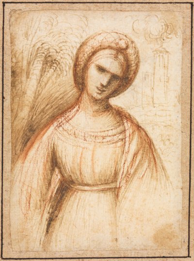 Dame in een landschap (recto) door possibly by Dosso Dossi