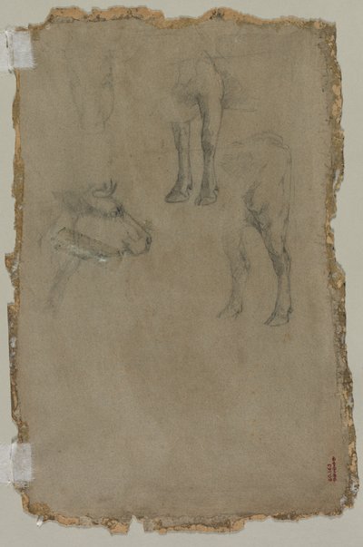 Studies van een Stier (verso) door possibly by Johan Barthold Jongkind